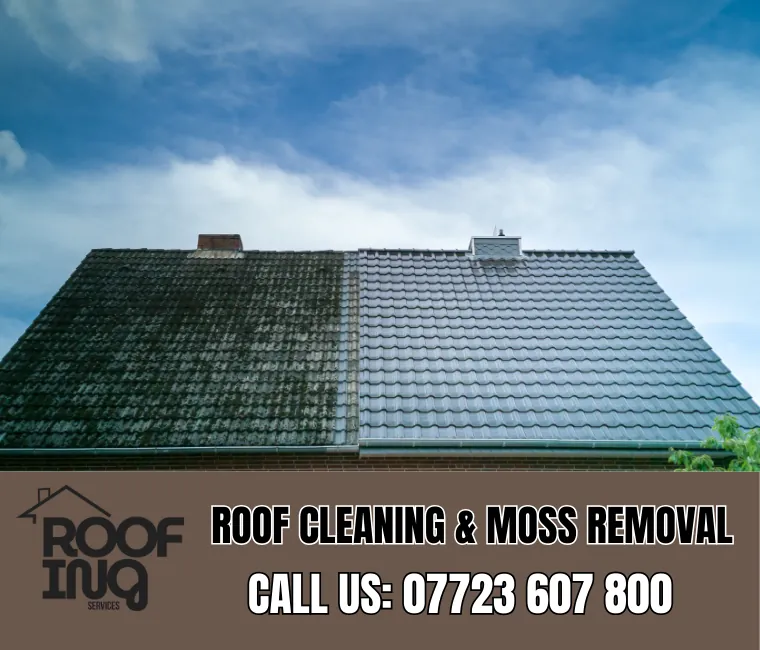 Roof cleaning and moss removal in Bude